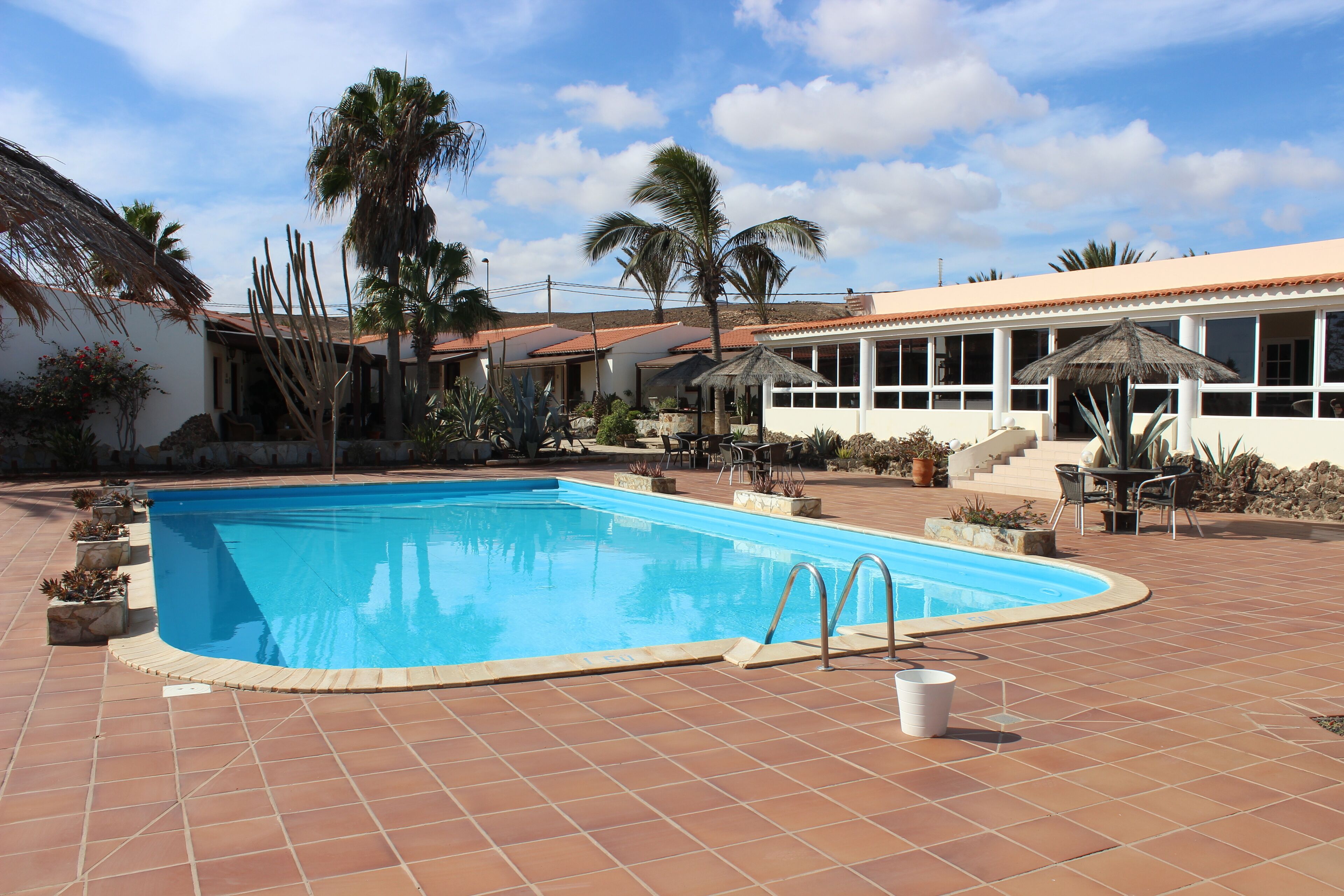 A swimming pool with a tiled deck, palm trees, and a building with a tiled roof.