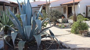 A courtyard with a large agave plant, various cacti, and potted plants. There are two buildings with red-tiled roofs and a stone pathway. - Comfortable 1-Bed Bungalow in Parque Holandés (La Oliva)