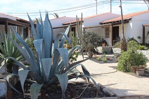 Property grounds - Comfortable 1-Bed Bungalow in Parque Holandés (La Oliva)