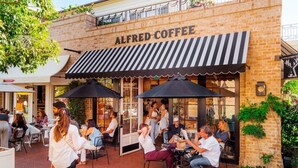 An outdoor seating area of Alfred Coffee with tables and umbrellas, surrounded by brick walls and greenery.