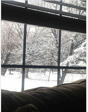 Ein Fenster mit Blick auf schneebedeckte Bäume und ein Gebäude im Hintergrund.