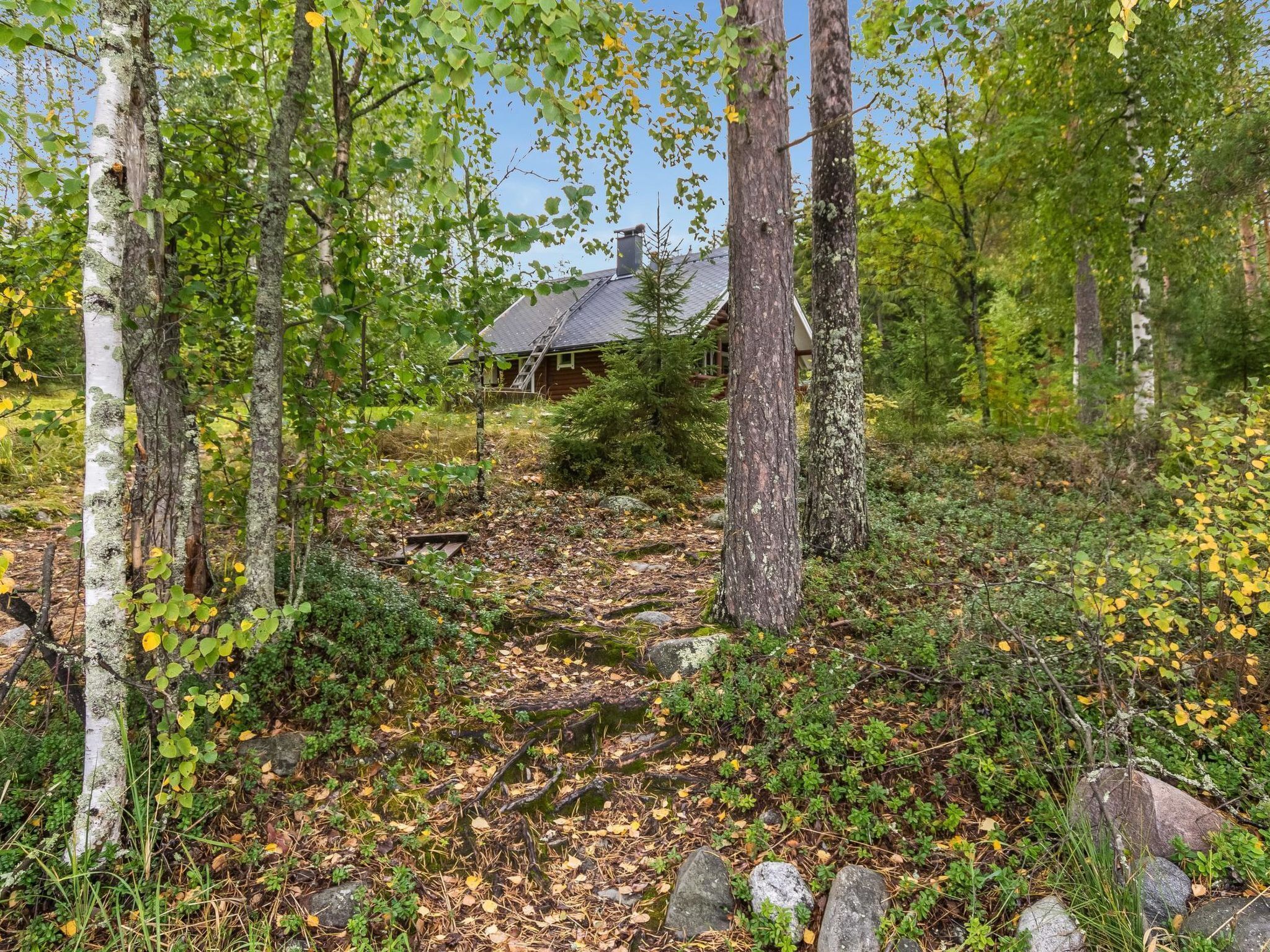 Área da propriedade