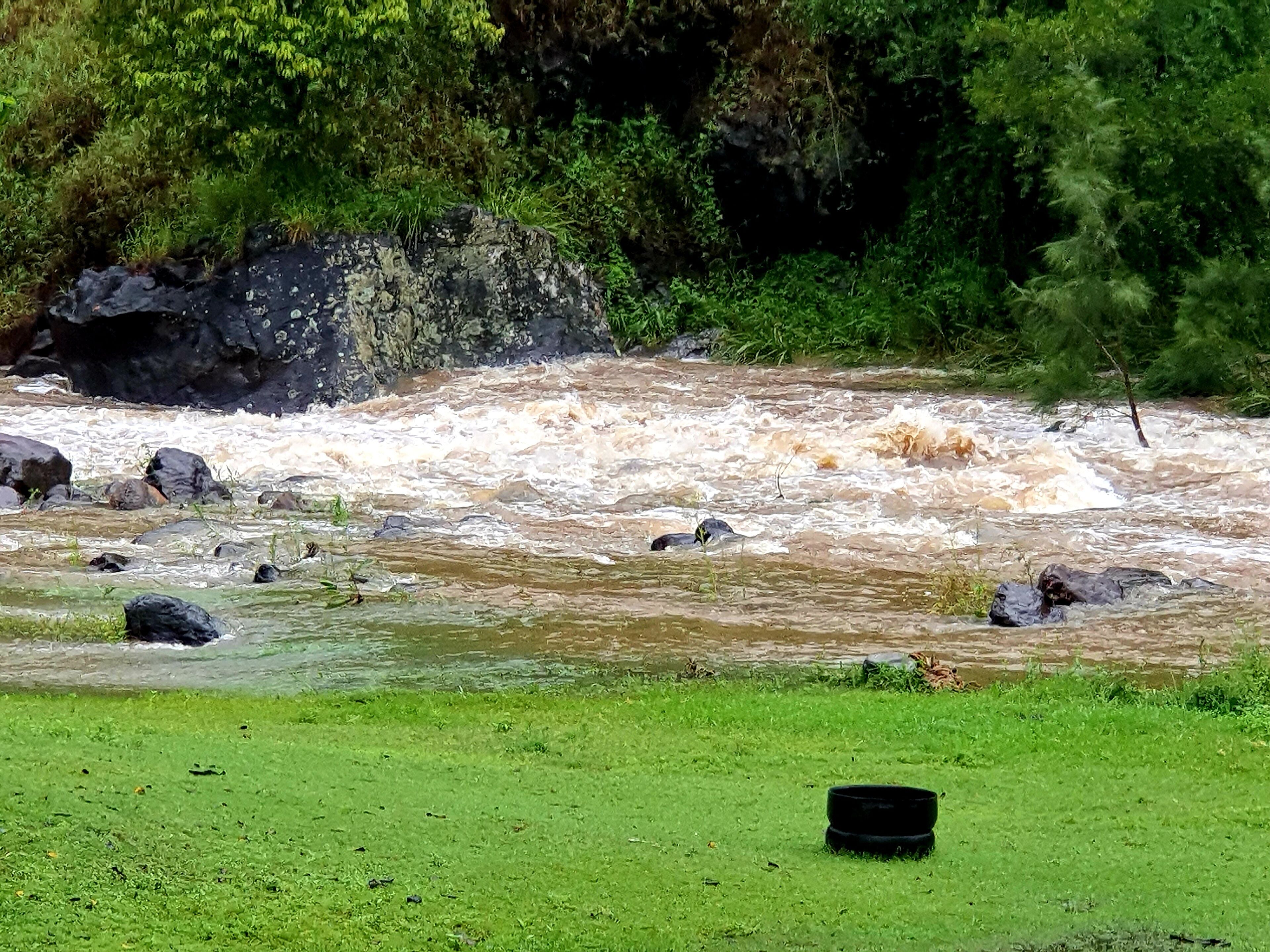 Farm Stay Cottage in the beautiful Gold coast hinterland — image 11