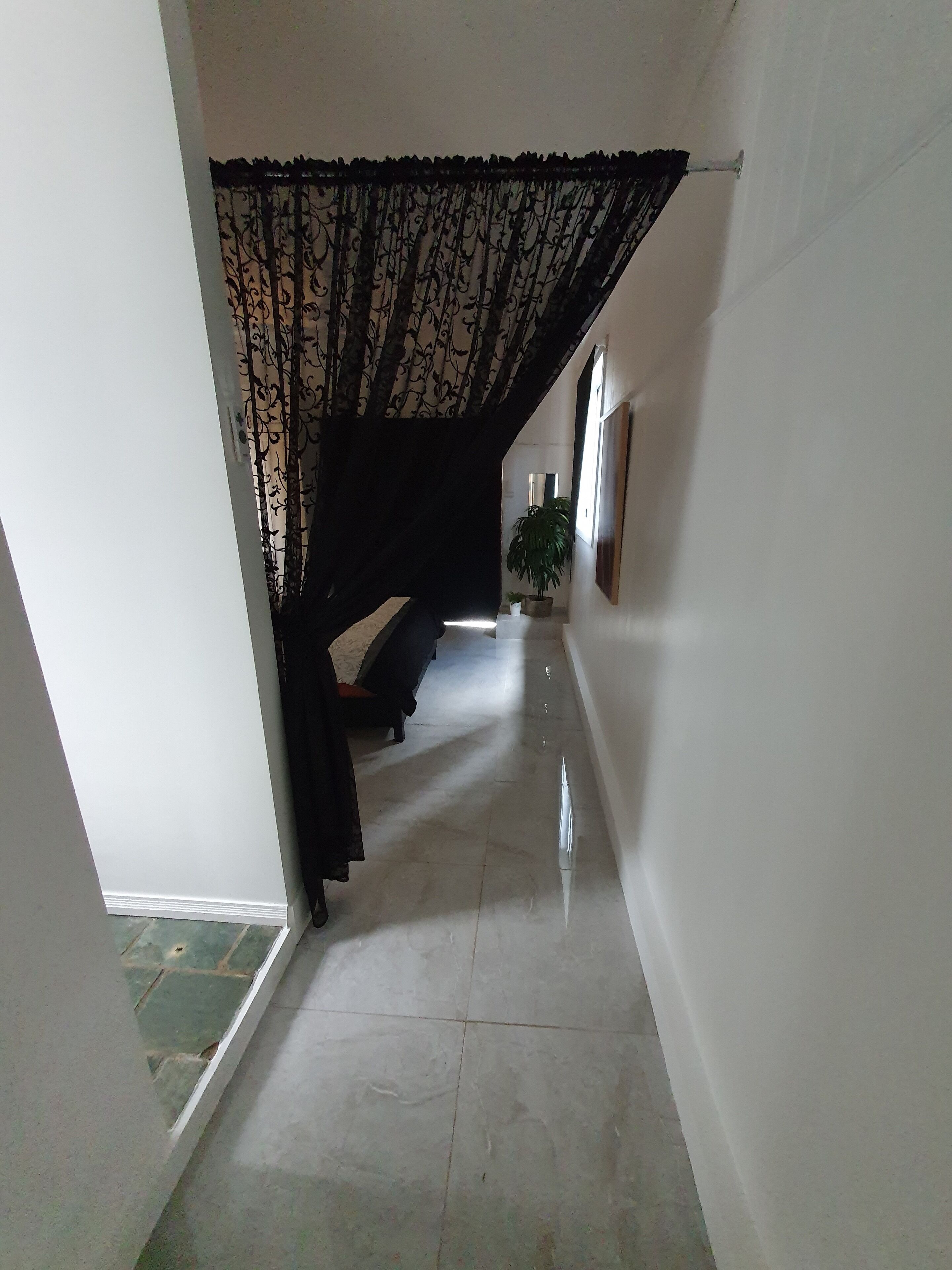 Farm Stay Cottage in the beautiful Gold coast hinterland — image 6