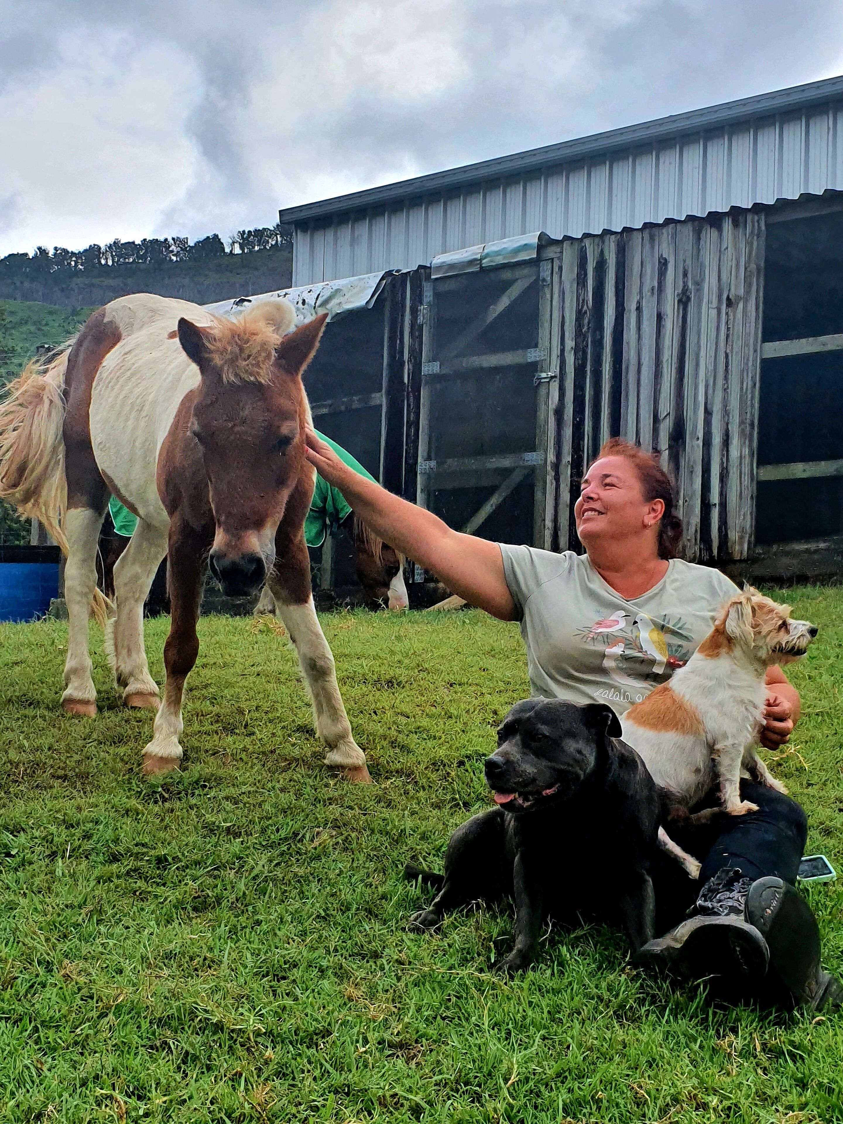 Farm Stay Cottage in the beautiful Gold coast hinterland — image 9