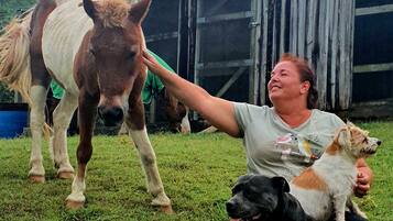 A person petting a horse and sitting with two dogs in a grassy area with a barn in the background.