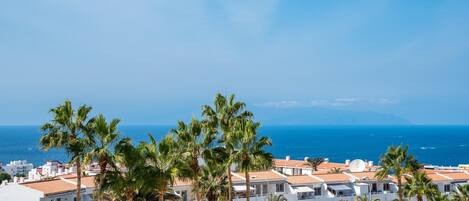 A coastal residential area with white buildings, palm trees, and a view of the sea.