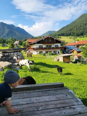 Jardines del alojamiento