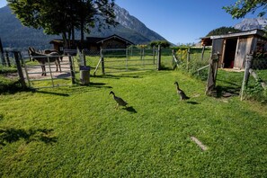 A rural farm with a fenced area, a wooden barn, and a mountain backdrop.