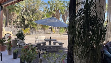 Terras