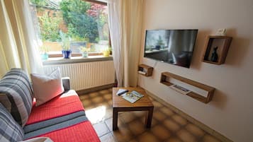 Älytelevisio, DVD-soitin, kirjoja, stereot