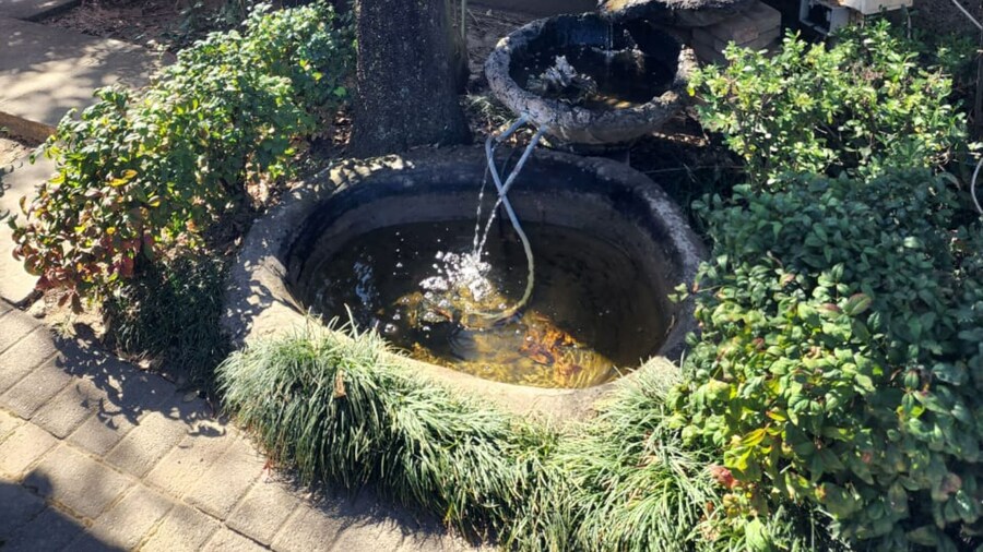 The Hills Guest House