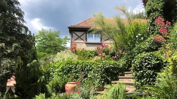 Una casa amb un jardí davant, envoltada de diverses plantes i flors.