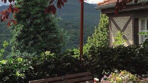 Zona d'esmorzar a l'aire lliure amb una taula preparada per a dinar, envoltada de vegetació i vistes a una muntanya.