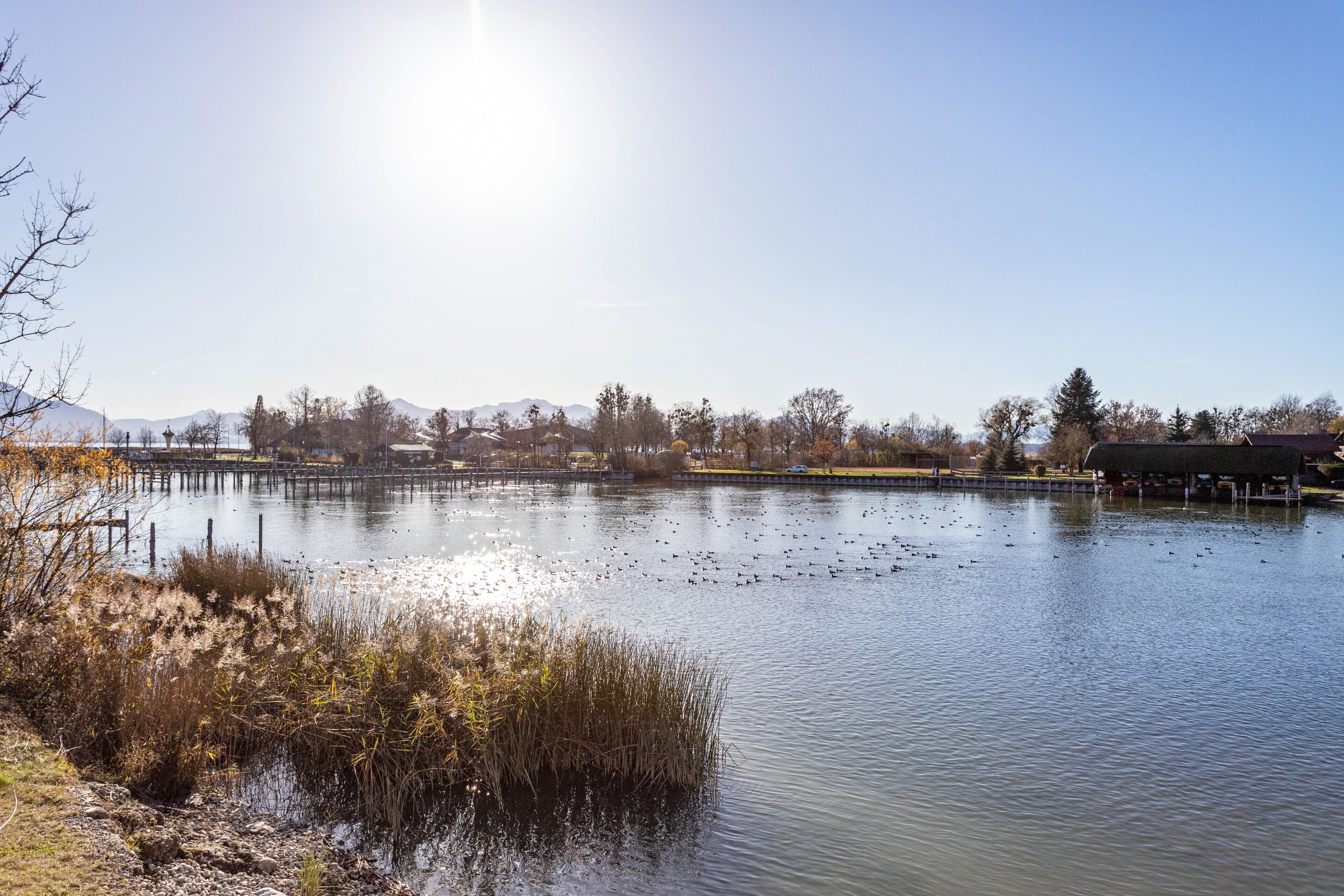 Un lac paisible avec un quai, entouré d’arbres et de bâtiments en arrière-plan.