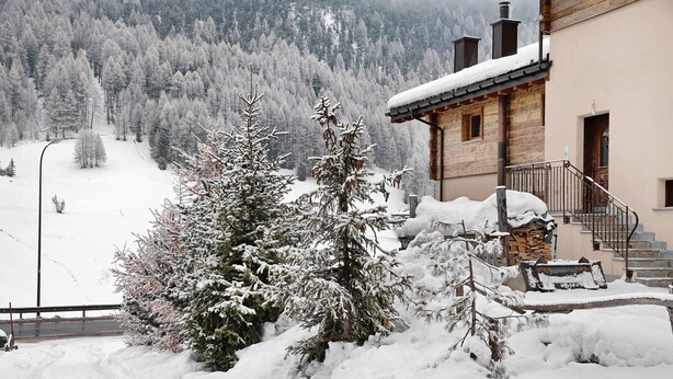 Un paysage enneigé avec un bâtiment en bois, un arbre recouvert de neige et un sentier enneigé.