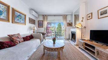 Een televisie, een open haard en een dvd-speler