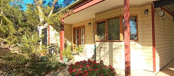 Treetops Hideaway*Hikes*Close to Town*Nature