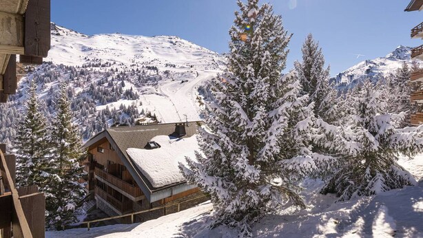 Un edificio de madera con techo inclinado, rodeado de árboles cubiertos de nieve y montañas al fondo.