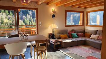 Cheminée, livres, chaßne hi-fi