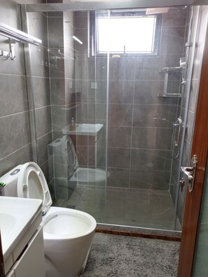 Shower, hair dryer, toilet paper