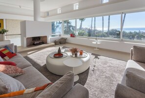 TV, fireplace, video games, DVD player
