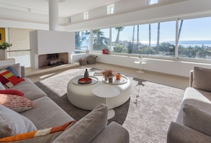 TV, fireplace, video games, DVD player