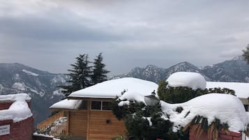 Esterni