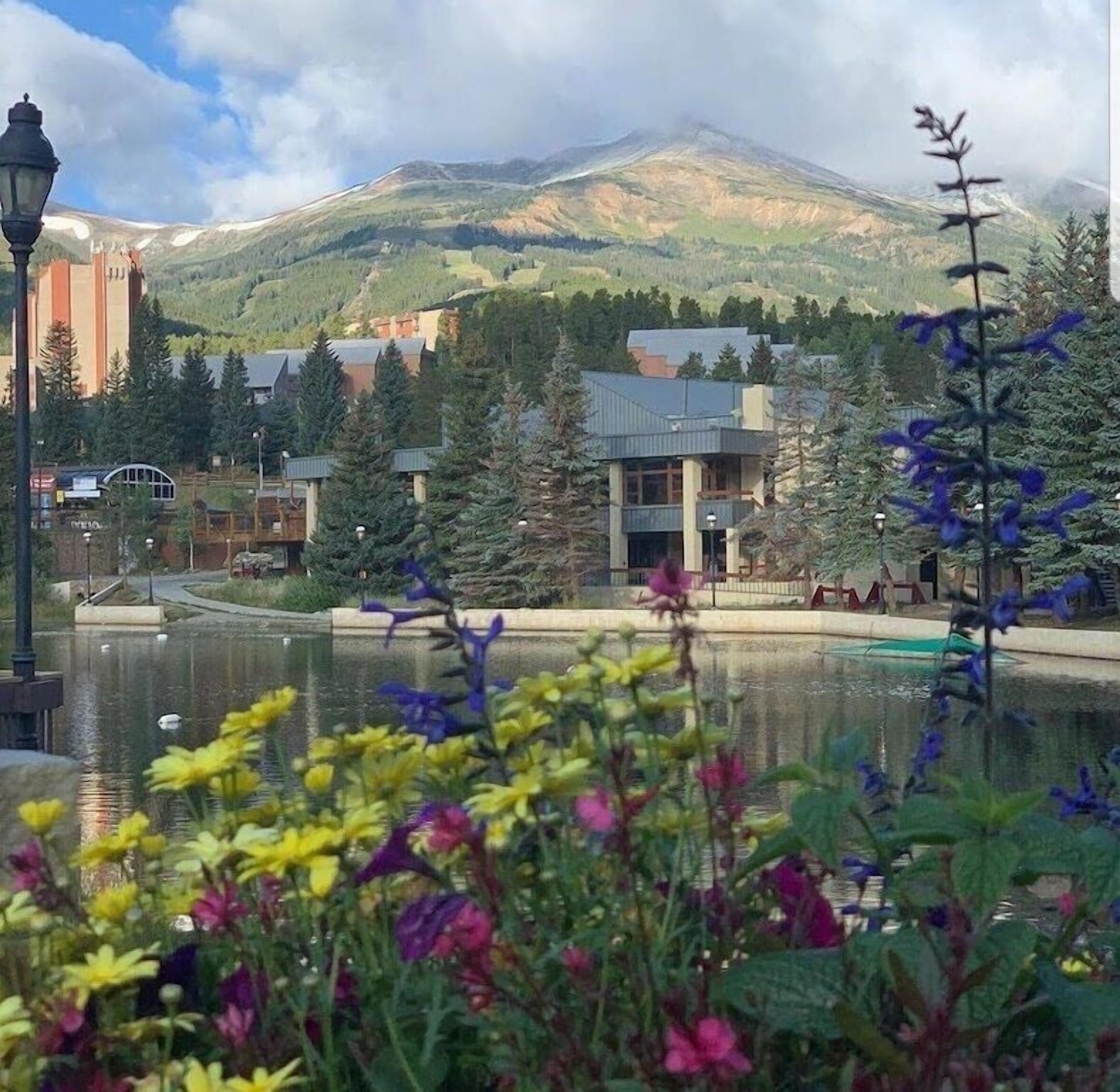 Une vue sur un lac, avec des bâtiments, une montagne en arrière-plan et différentes plantes au premier plan.