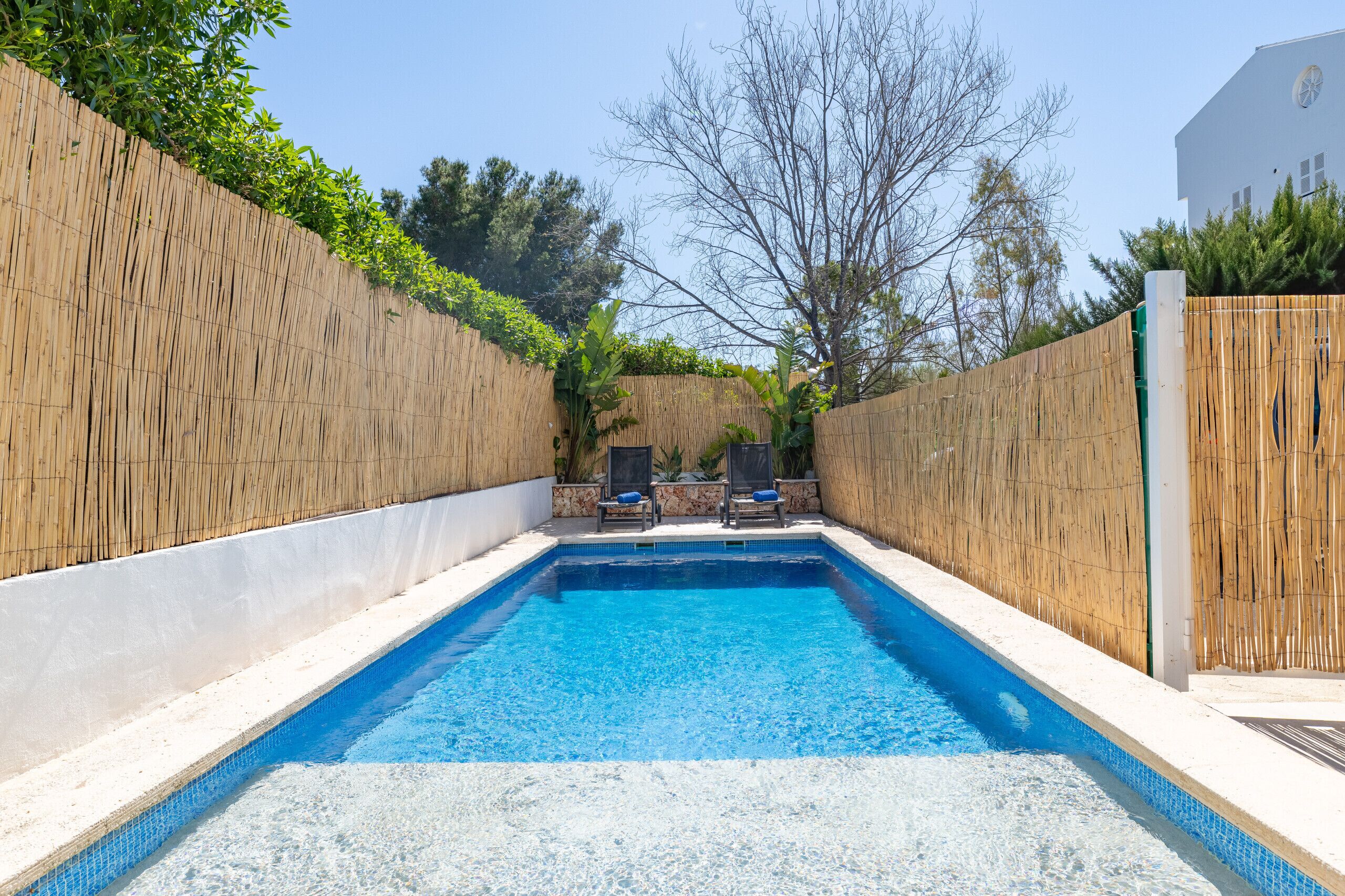 A rectangular swimming pool with a clear blue water surface, surrounded by a bamboo fence, and two lounge chairs facing the pool.