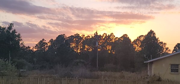 A sunset with trees silhouetted against the sky, a wooden fence, and a building with a window.