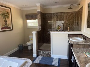 Combined shower/tub, hair dryer, towels, soap
