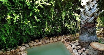 Country-Style House by the Nature, Western Galilee