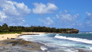 Strand