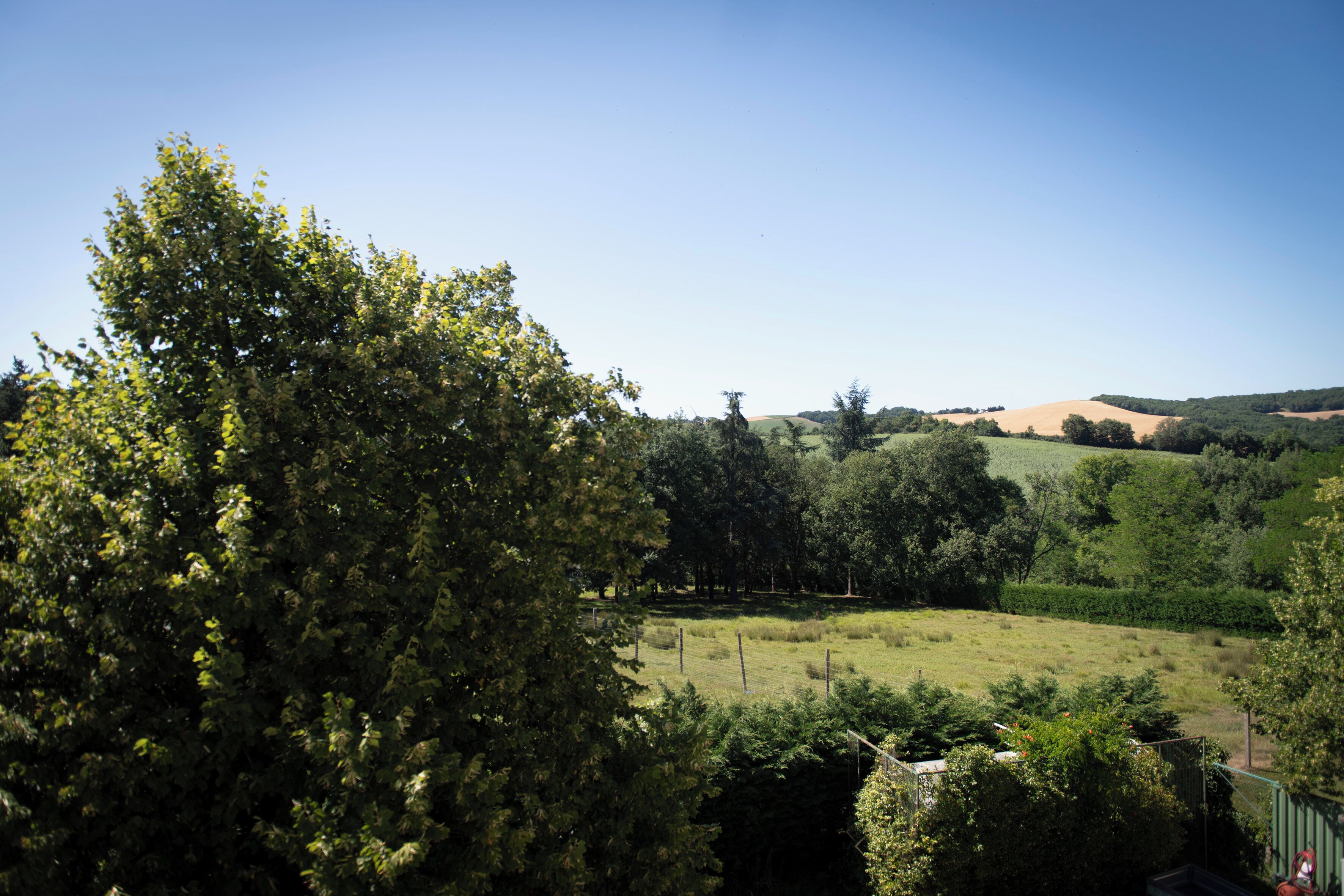 Un paysage rural avec un grand arbre au premier plan, un champ clôturé et des collines ondulantes en arrière-plan.