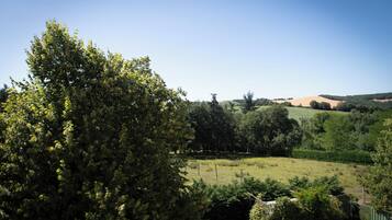 Un paysage rural avec un grand arbre au premier plan, un champ clôturé et des collines ondulantes en arrière-plan.