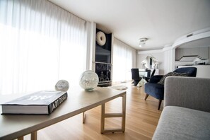 Smart TV, fireplace, books