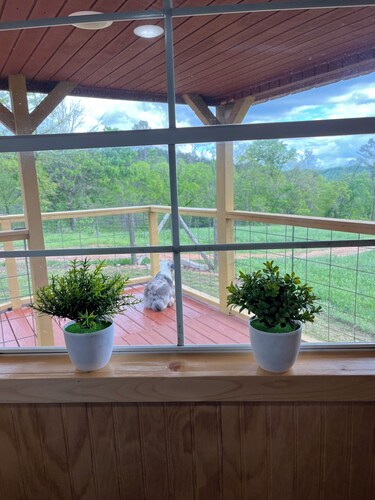 Fox Pen Cabins
Cabin #2
Not friendly for street bikes…
Pet-Friendly