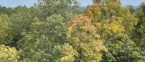 Combined shower/bathtub, towels, soap, shampoo