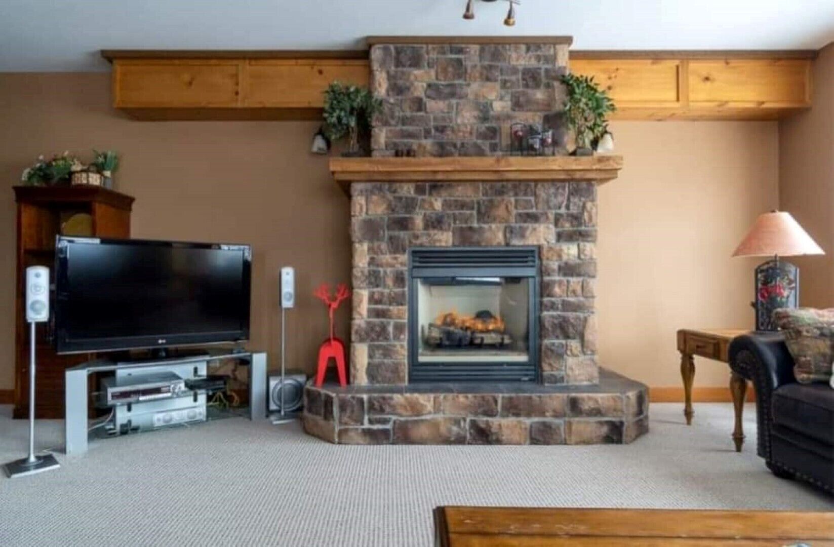 TV connectée, cheminée, chaîne hi-fi
