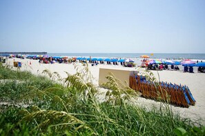 On the beach