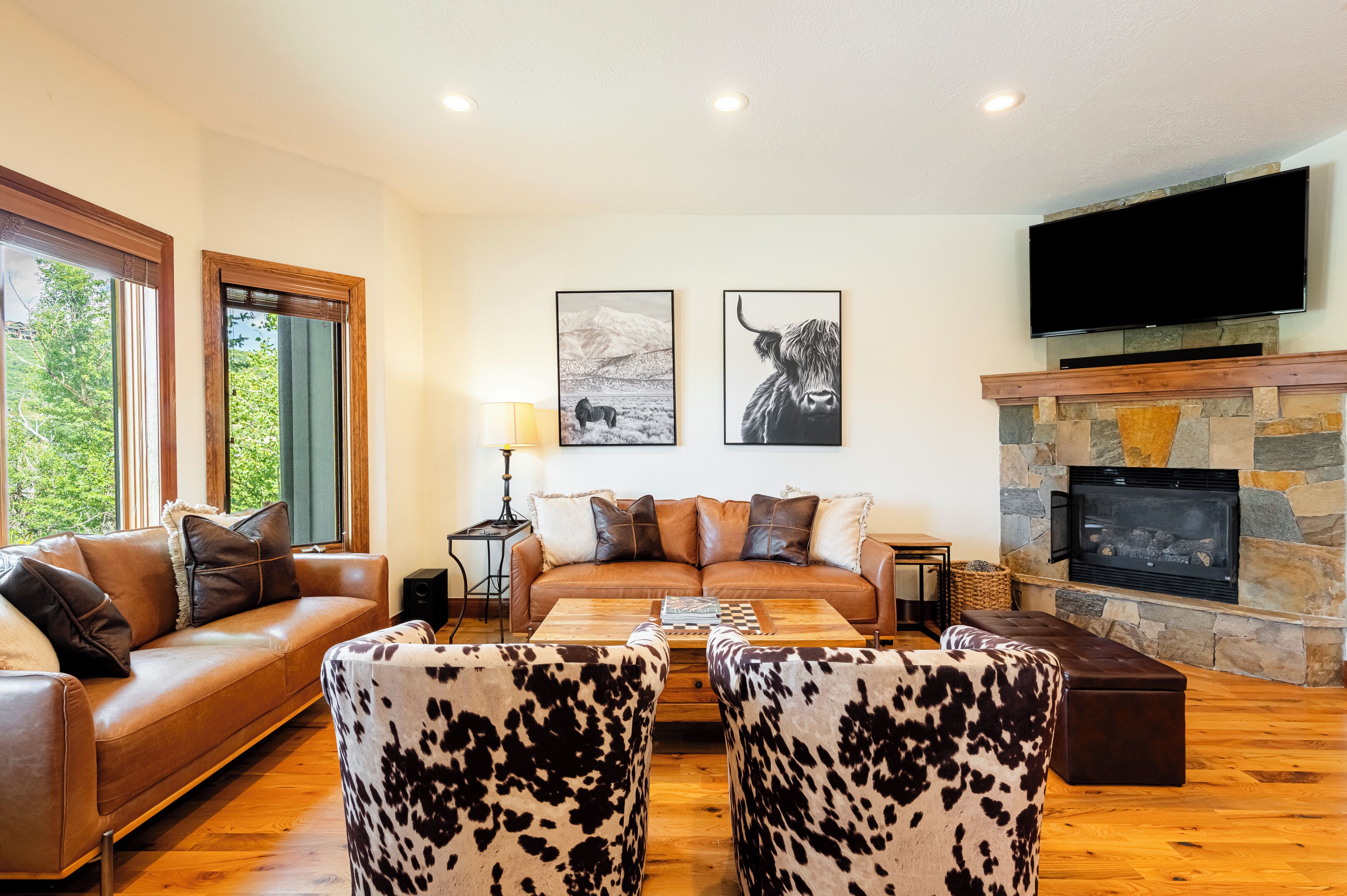 TV, fireplace