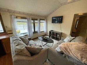 TV connectée, lecteur de DVD, livres, vidéothèque