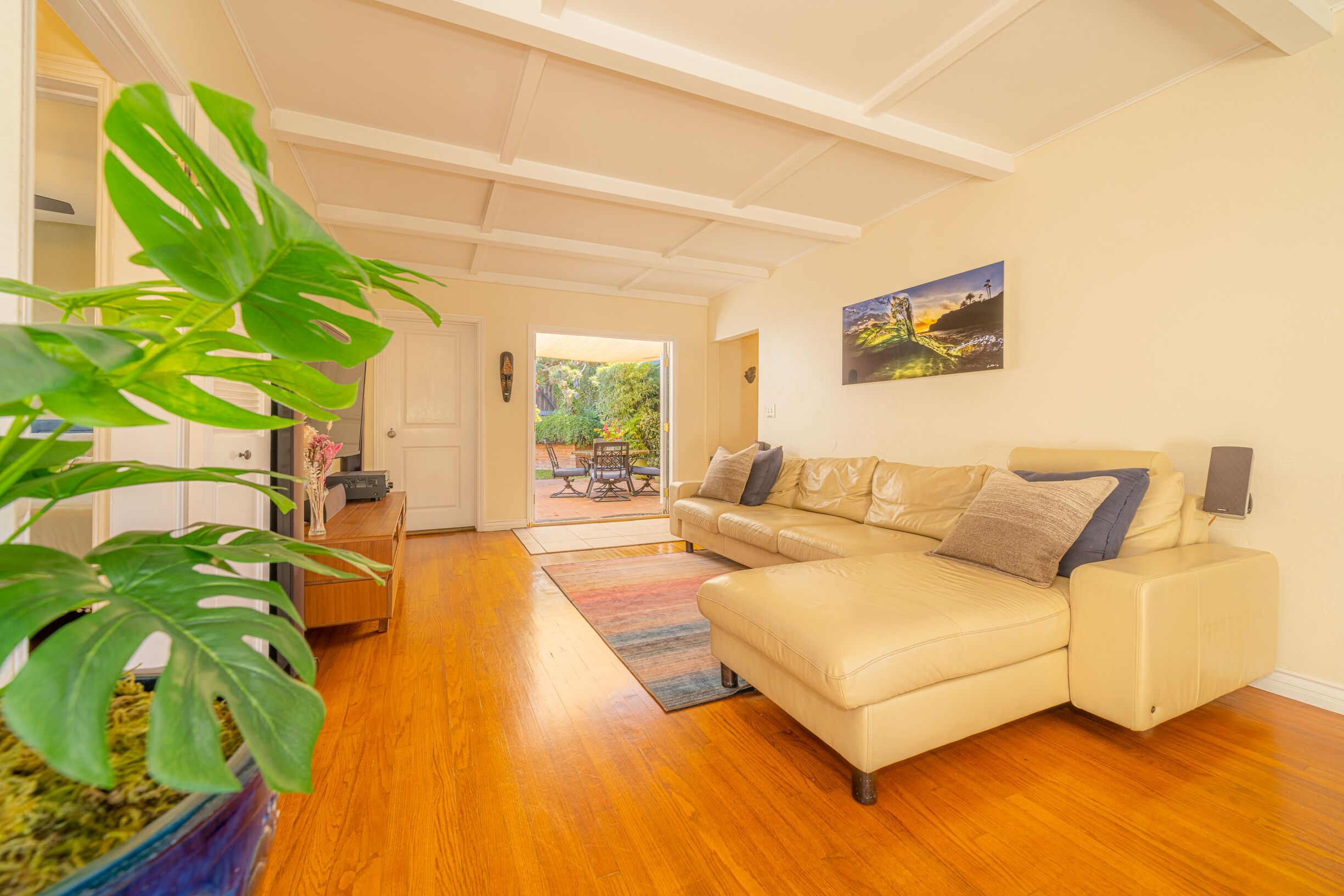 A living room with a beige sofa, a potted plant, and a wooden floor.