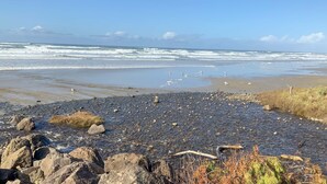 A rocky beach with waves, pebbles, and sparse vegetation. - Ocean Front, Amazing Views! Hot Tub! Dog Friendly! (Yachats)