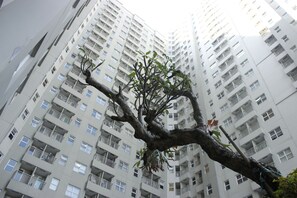 Exterior - Cozy 2BR Apartment at Parahyangan Residence Bandung near UNPAR (Bandung)