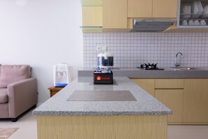 Fridge, stovetop, cookware/dishes/utensils