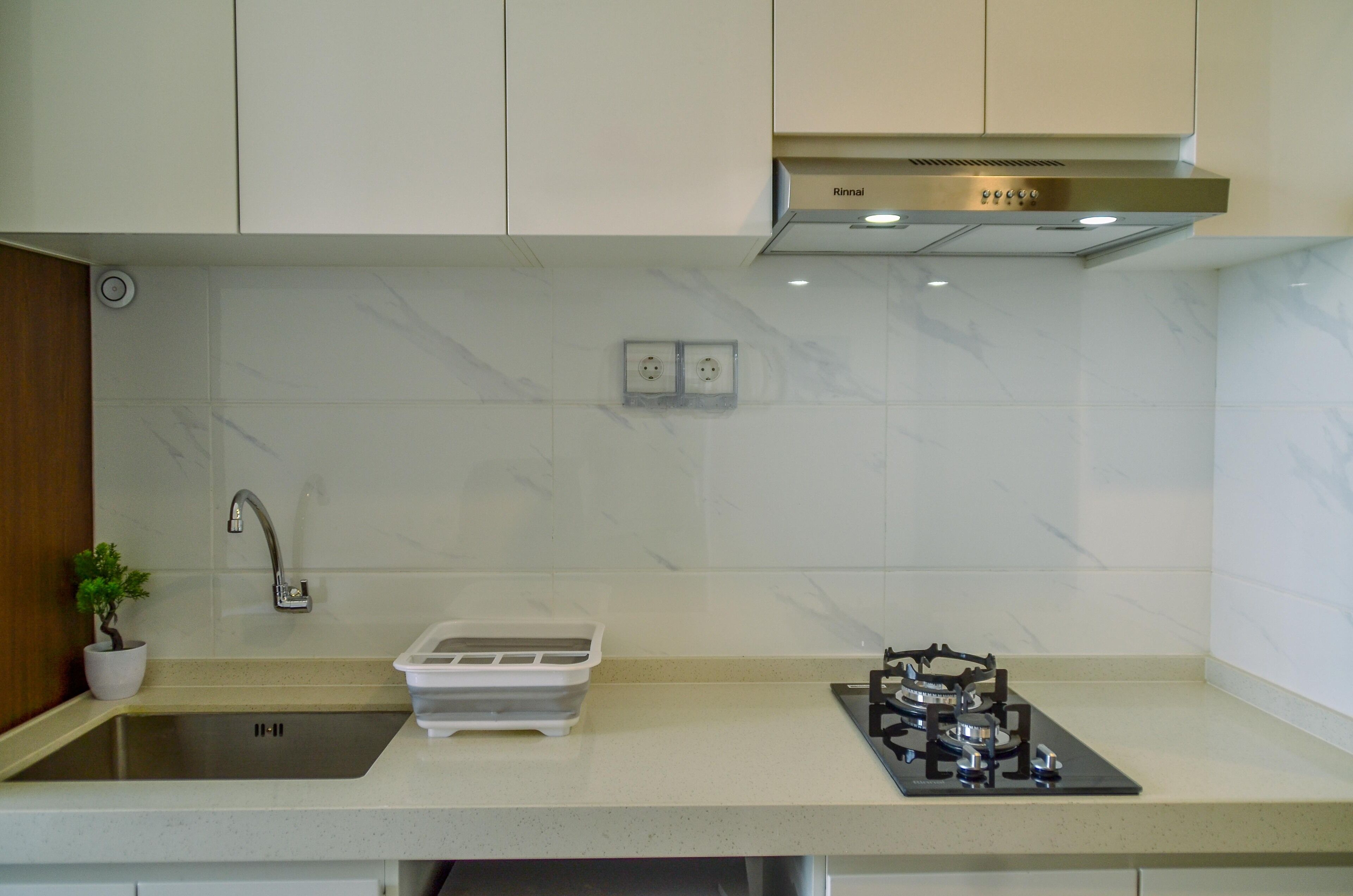 A kitchen with a sink, a gas stove, and a small potted plant.