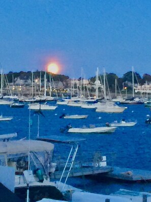 Boats of various sizes and types are docked in the marina, offering a serene waterfront view.