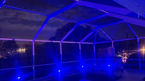 Une serre dotée d’une structure en verre, avec un toit et des murs en verre, éclairée par des lumières bleues.